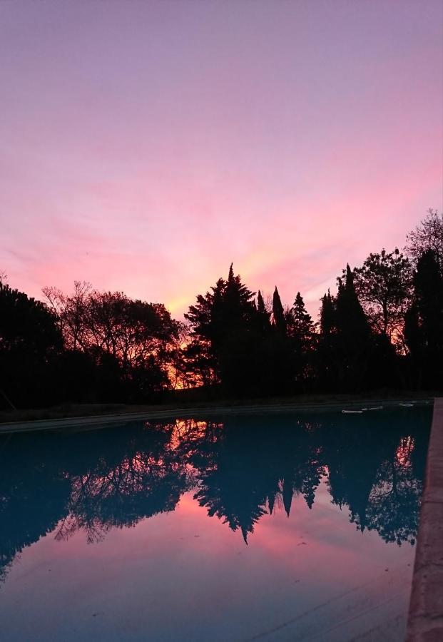 Le Jardin De Lacoste Narbona Esterno foto