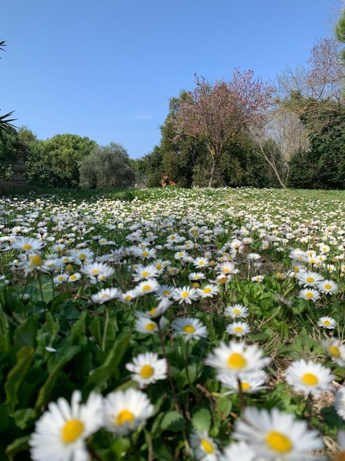 Le Jardin De Lacoste Narbona Esterno foto