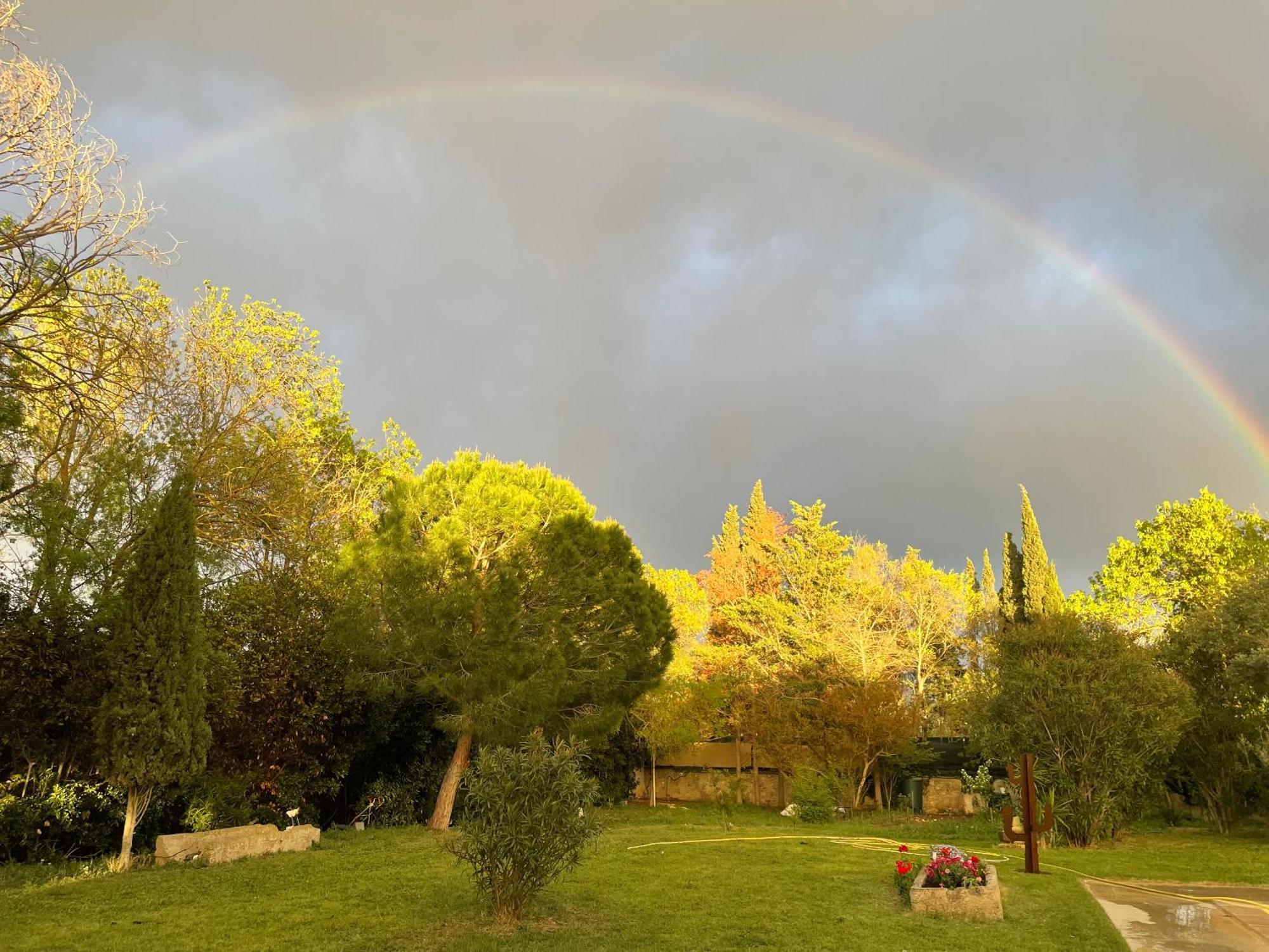 Le Jardin De Lacoste Narbona Esterno foto