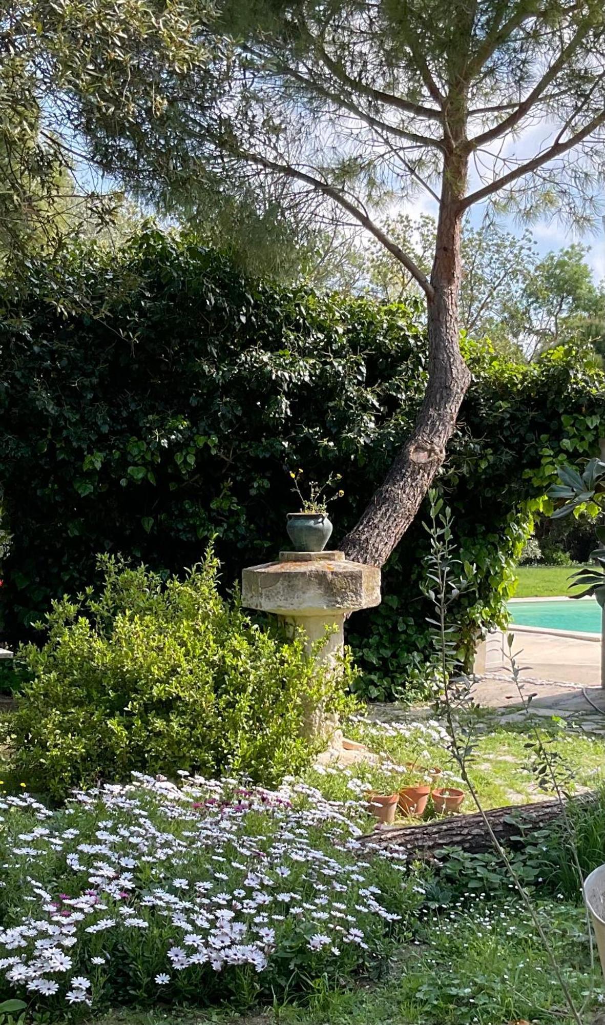 Le Jardin De Lacoste Narbona Esterno foto